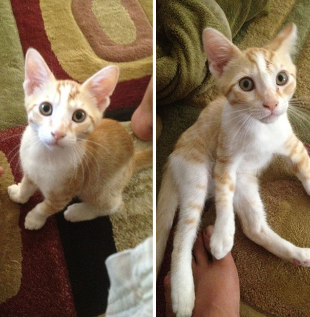 Went To A Party Last Night, Crashed At A Friends House And Woke Up To This