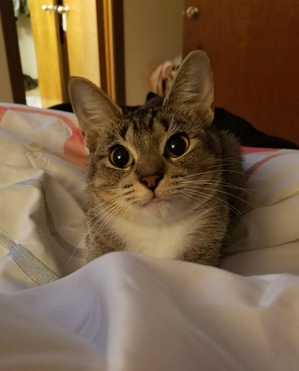 Woke Up To This Cute Face This Morning