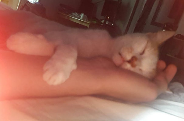 We Woke Up Like This