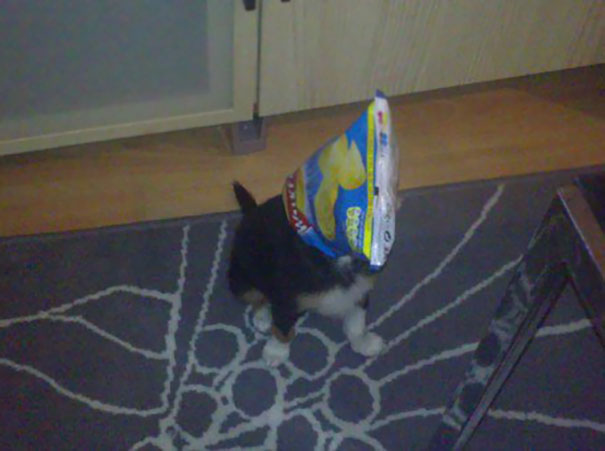 Fell Asleep On The Sofa With A Bag Of Crisps. Woke Up To This