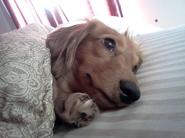 I Opened My Eyes This Morning, And This Is The First Thing I Saw