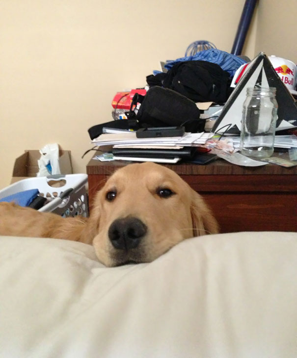 When I Open My Eyes, This Is The First Thing I See Every Morning