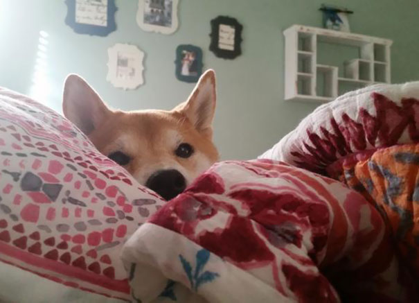 First Thing I See In The Morning