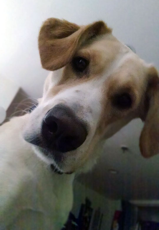 The First Thing I See, Every Morning