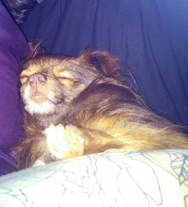 First Thing I Saw When I Opened My Eyes This Morning