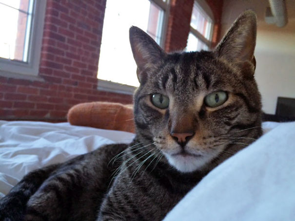 First Thing I See In The Morning