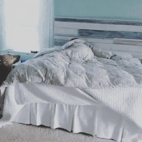 Good Morning, Time To Wake Up!