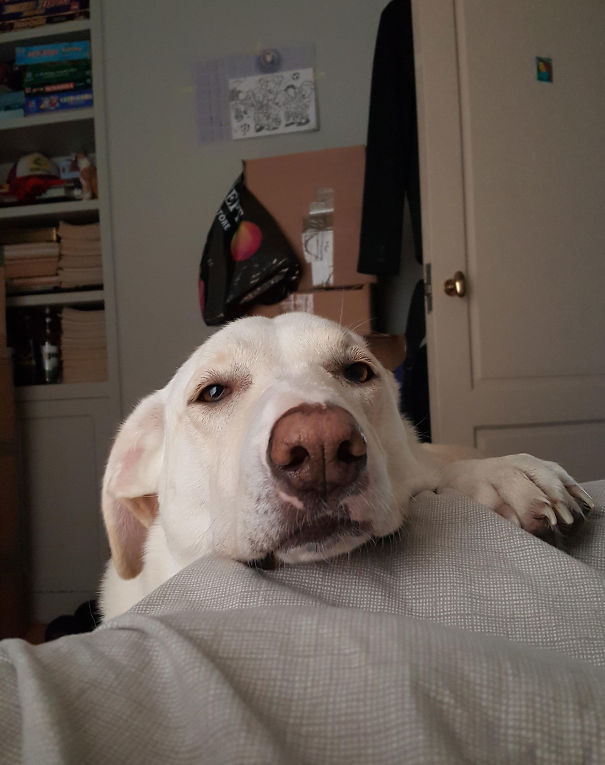 Best Way To Wake Up In The Morning