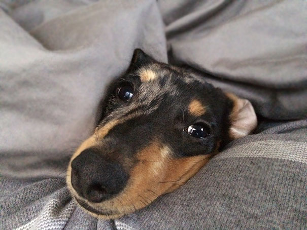 The Face I Wake Up To