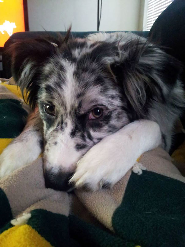 When You're Lying Down Sick And Wake Up To This