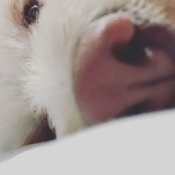 This Is What I Wake Up To Most Mornings