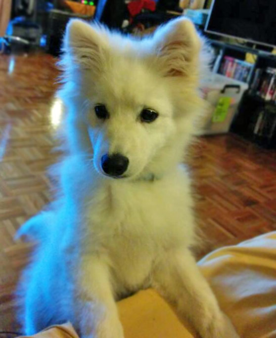 I Also Wake Up To This Every Morning