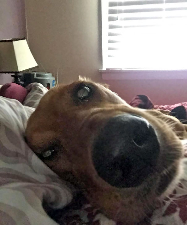 What I Wake Up To Every Morning