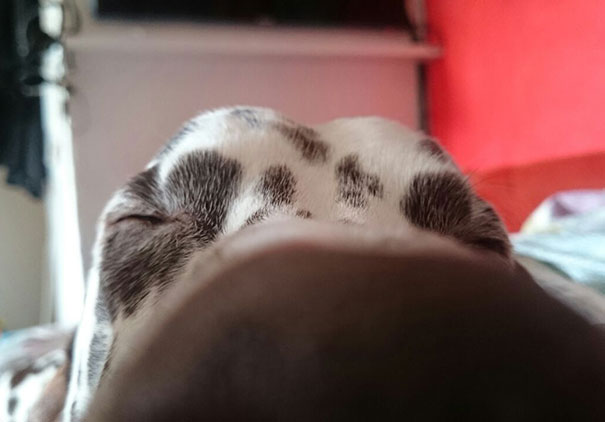 That's What I Wake Up To Every Morning