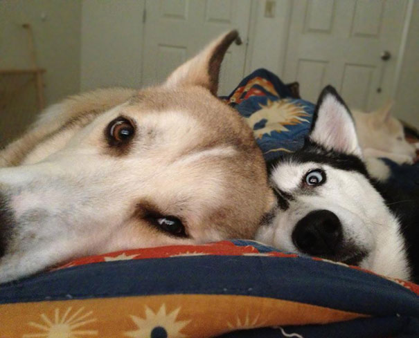 What I Wake Up To Some Mornings. I Love It