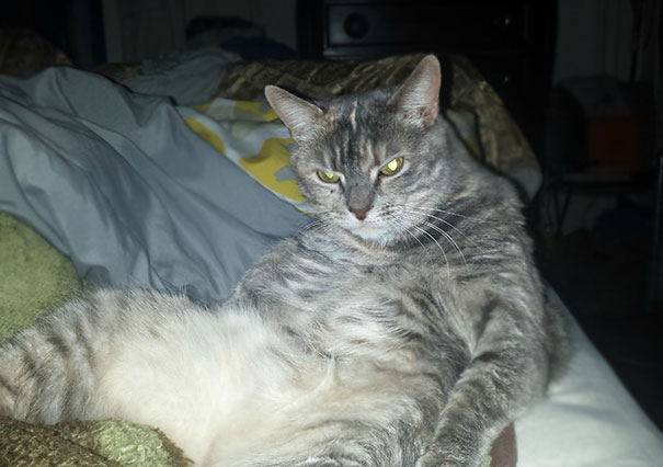 I'm Sleeping And I Hear A Vibration. I Wake Up To This In Front Of Me