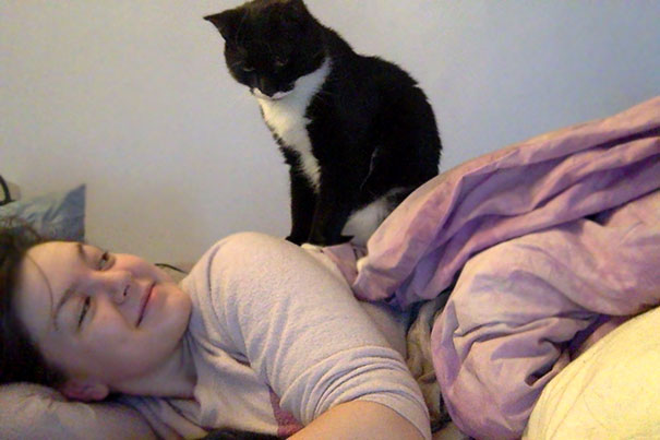 The Minute I Wake Up He Runs To My Bed And Sits On Me