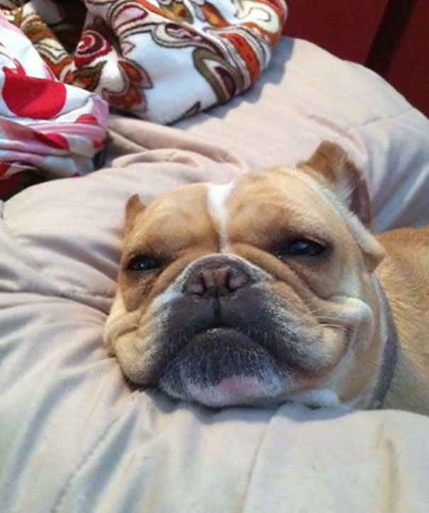 My Friend Just Posted This Guy On Facebook. He Was Waiting For Her To Wake Up