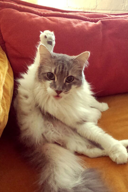 As A Single Woman - This Is What I Get To Wake Up To. Lucky Me