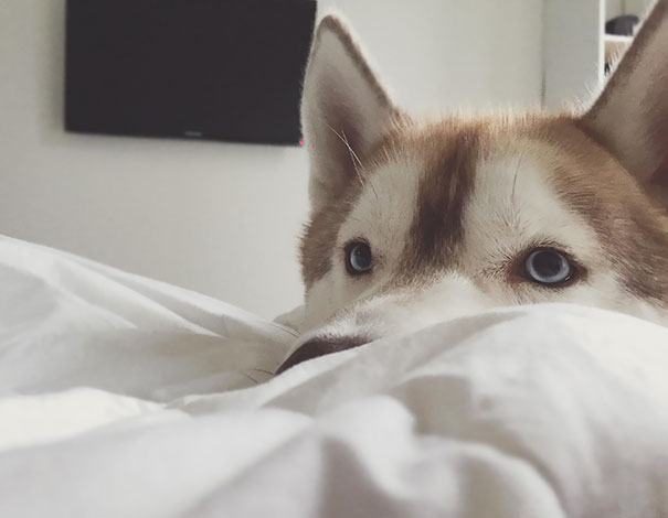 This Is The Best Way To Wake Up In The Morning