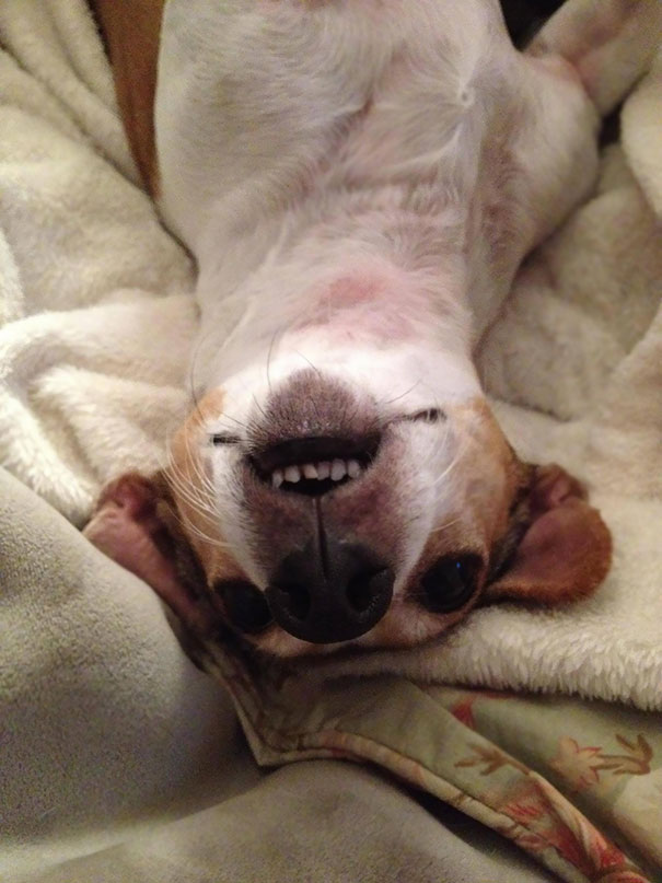 I Wake Up To This Every Morning