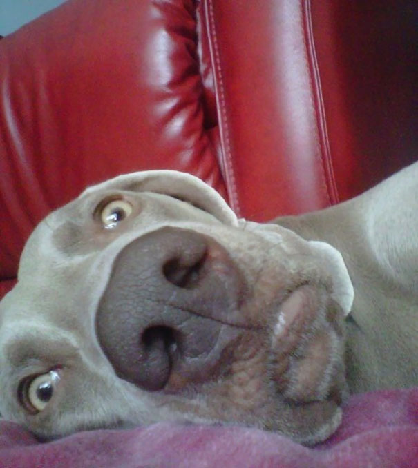 I Woke Up In The Morning To This