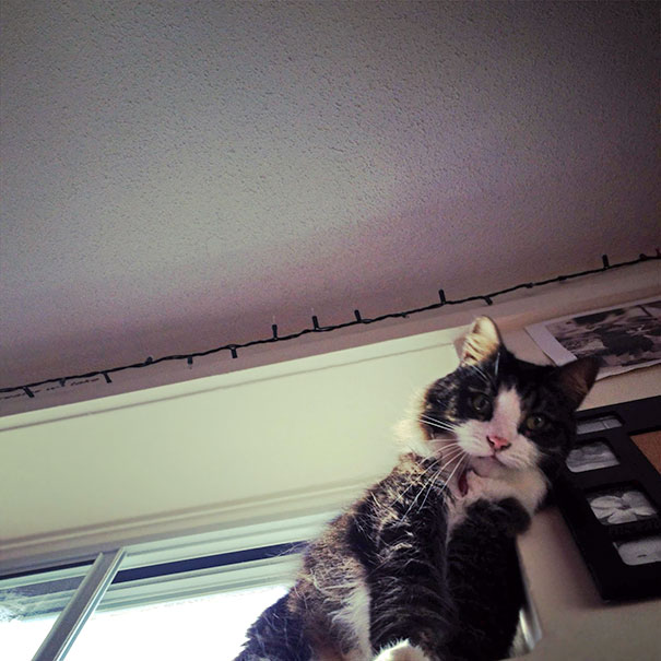 This Is What I Wake Up To Every Morning