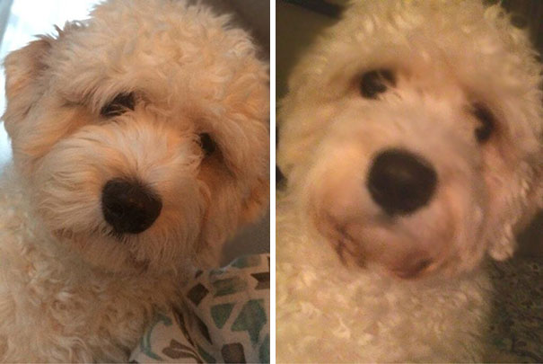 His "Worried About Daddy" Face 3 Hours Apart Didn't Change When I Crawled Into Bed At 4 Pm With The Flu And Woke At 7 pm. It's Ok Kevin. I'm Fine