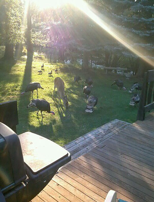 So I Woke Up From My Nap And Ended Up In A Disney Movie