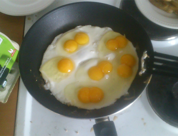 I Bought Ecological Eggs, 5/6 Double Yolk