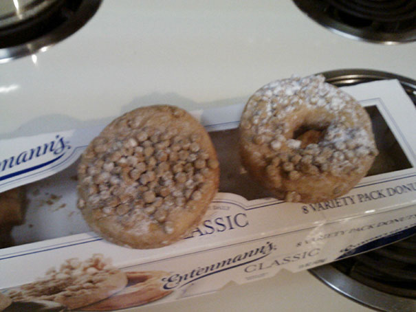 I Won The Doughnut Lottery