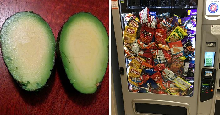 190 Times People Absolutely Won The Food Lottery