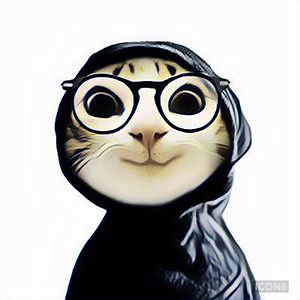 iamcrumplecat avatar