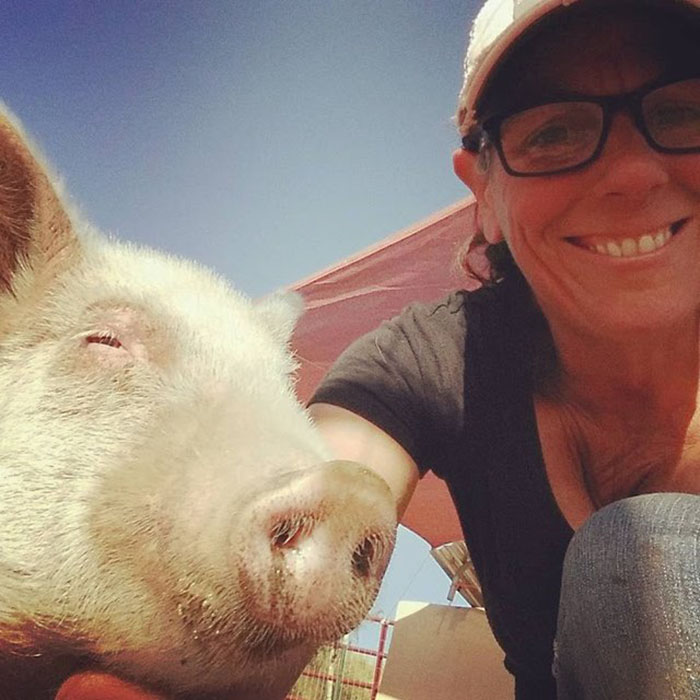 Dying Piglet Abandoned At Shelter Goes Through Miraculous Transformation Dying Piglet Abandoned At Shelter Goes Through Miraculous Transformation