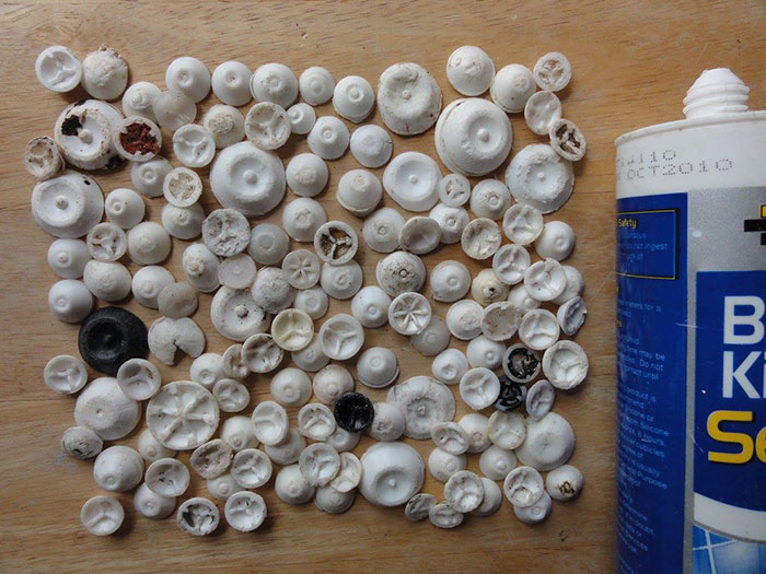 Guy Collects 35 Bags Of Microplastics On The Beach In Just One Day, Turns It Into Art Guy Collects 35 Bags Of Microplastics On The Beach In Just One Day, Turns It Into Art