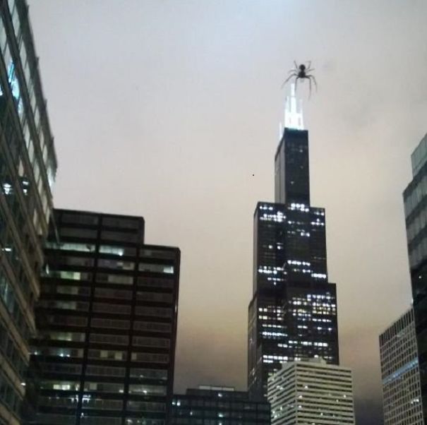 sears-tower-cropped1-5957c0680f33f.jpg