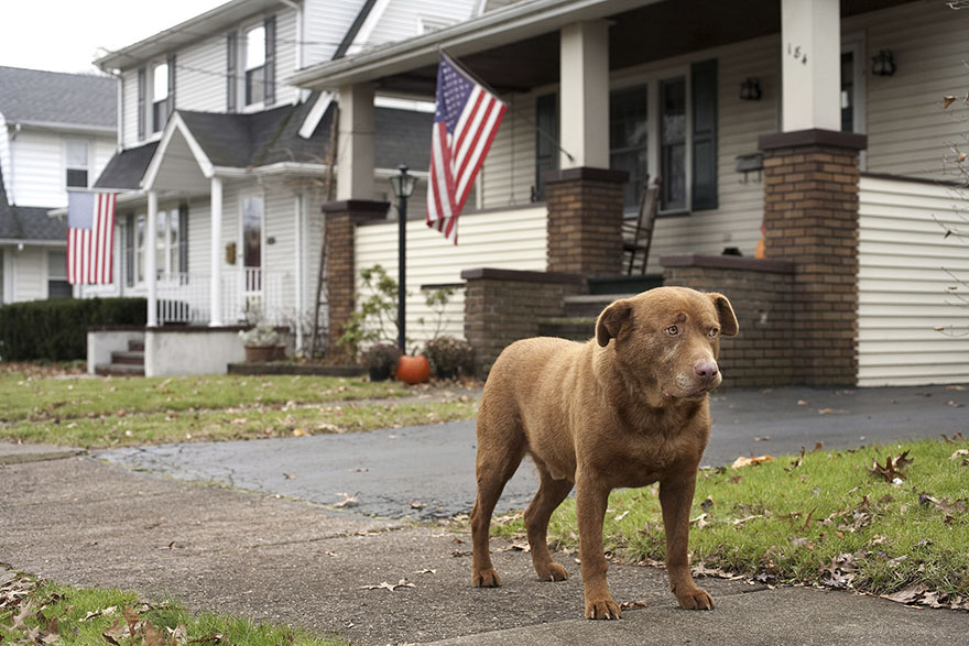 Joey, 9 Years Old Hawthorne, New Jersey