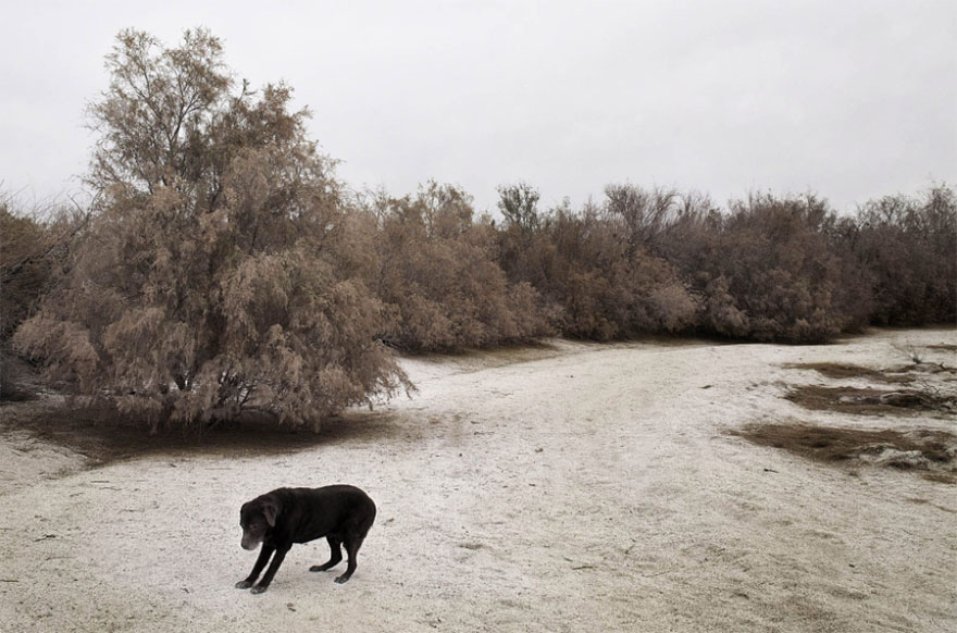 Otis, 15 Years Old Salton Sea, California