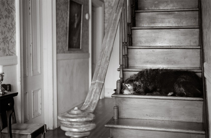 Suzy, 10 Years Old Natches, Mississippi