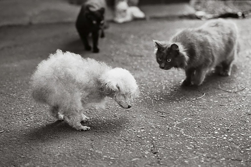 Amy, 18 Years Old, Charlotte, North Carolina