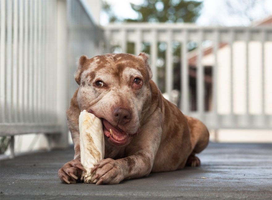 Red, 12 Years Old New Haven, Connecticut