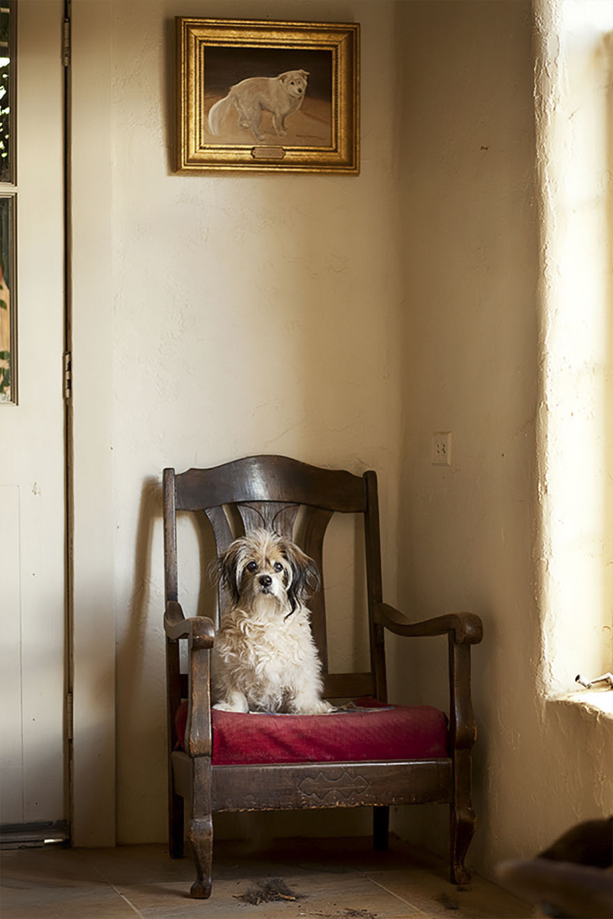 Kiki, 15 Years Old, Sedona, Arizona