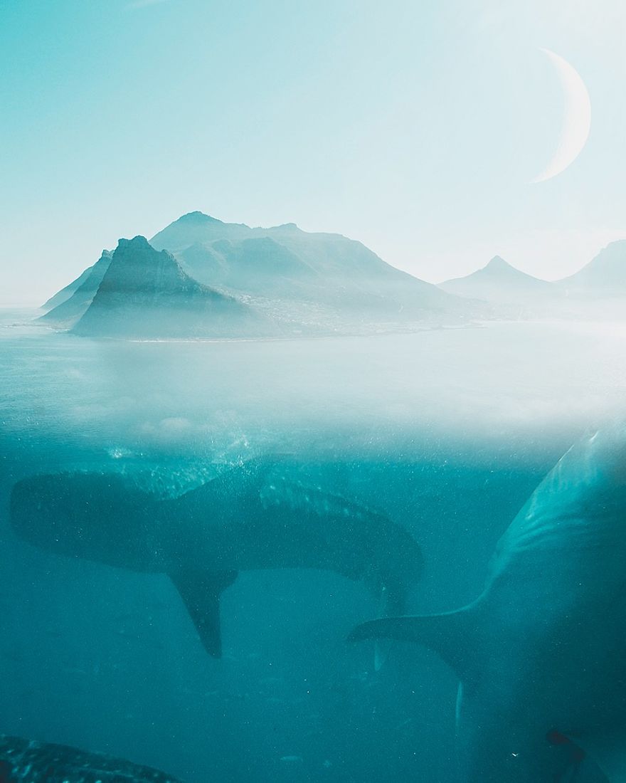 My Blue Artworks
Meaningful About Stable, Cool, Spacious , And Relaxed (ch44n)