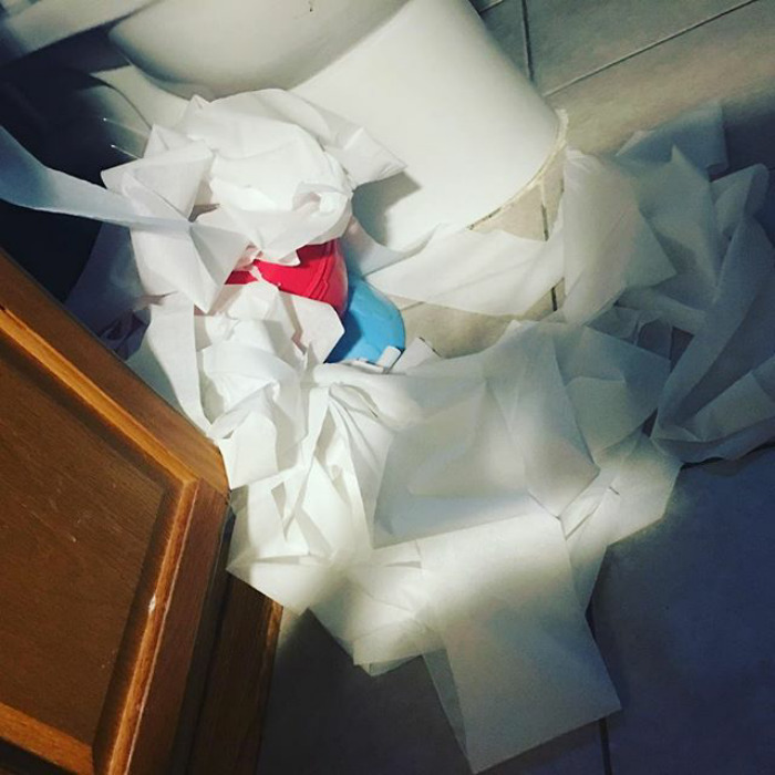 How Long Was That Child Left Alone For In Order For Them To Do That. Well, Now That I Am A Mom, I Have The Answer To That Question. About 15 Seconds