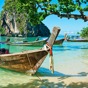 tndesrakocsis avatar