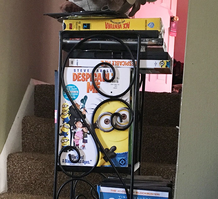 The Minion Fit Perfectly Inside The Swirl