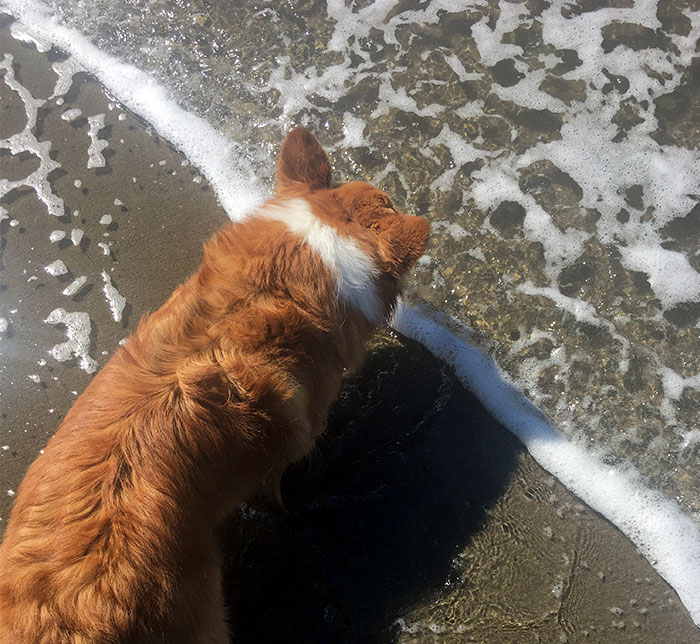 10+ Cosas tan perfectamente alineadas que te complacerán en el alma