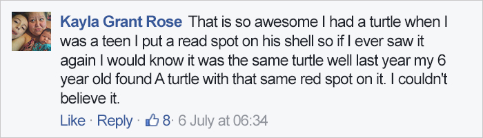 turtle-shell-repair-vet-reunited-old-patient-hocking-hills-animal-clinic-4