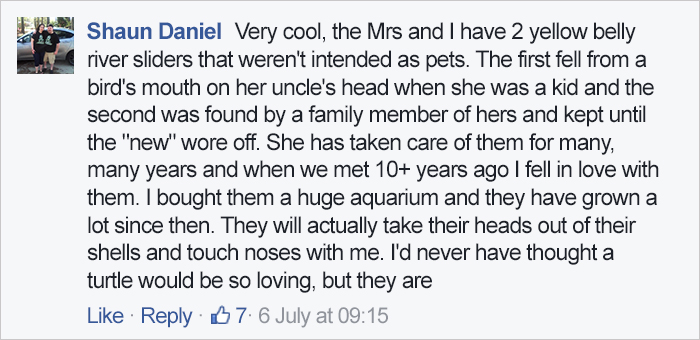 turtle-shell-repair-vet-reunited-old-patient-hocking-hills-animal-clinic-5