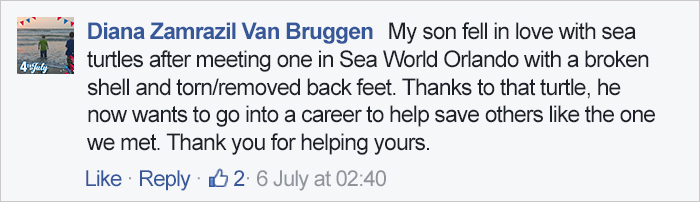 turtle-shell-repair-vet-reunited-old-patient-hocking-hills-animal-clinic-6